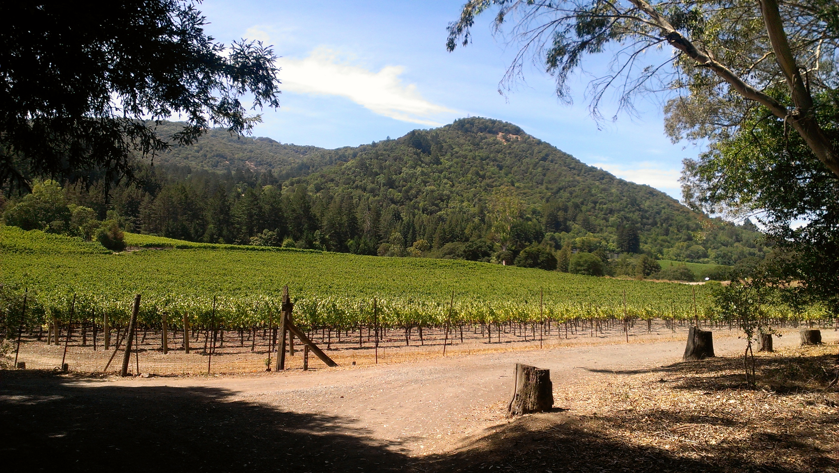 Sonoma Mountain